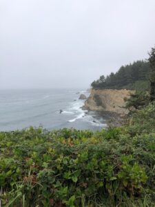 Shore Acres
