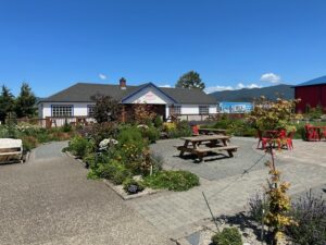 Tillamook Blue Heron