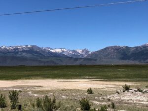 Bridgeport California