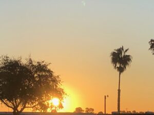 delta sunset