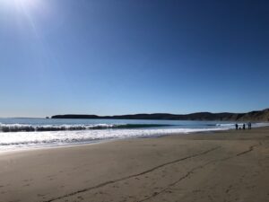 Inverness, near Olema
