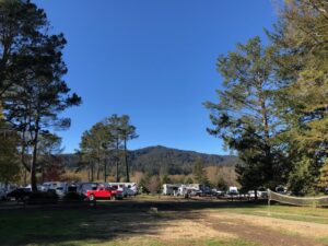 Olema California