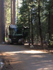 Read more about the article White Cloud Campground, Tahoe National Forest, California