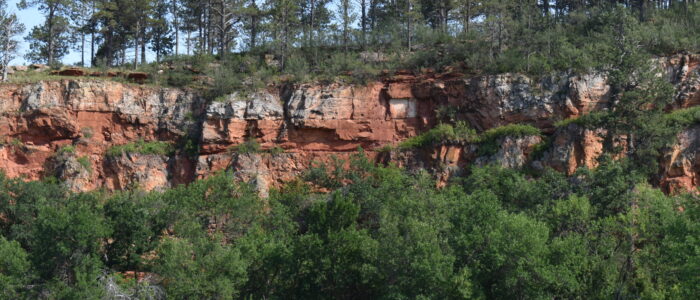 Custer State Park Wildlife Loop