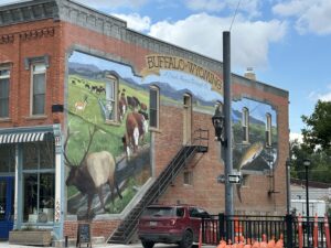 Buffalo Wyoming